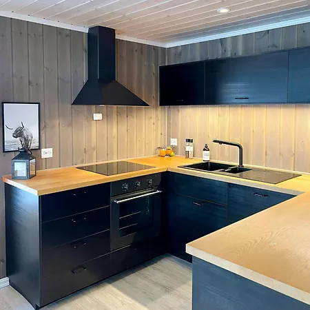 Moderne Med Spabad Naer Alesund 度假居 *