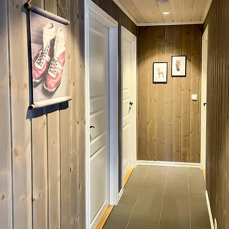 度假居 Moderne Med Spabad Naer Alesund 斯特兰达